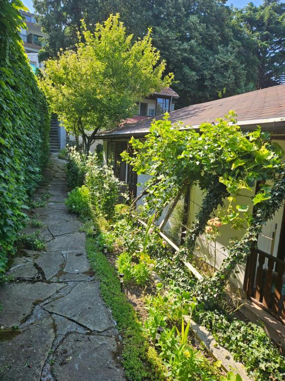 a garden in front of a house with trees at Къщи за гости Кедър in Varna City