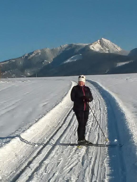 a man is cross country skiing in the snow at Apartmány Grobarčík in Zuberec