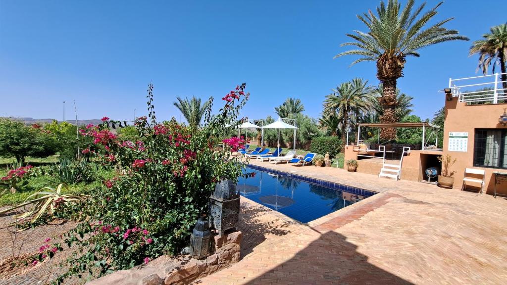 a villa with a swimming pool and palm trees at Les Plamiers d'anis in Ouarzazate