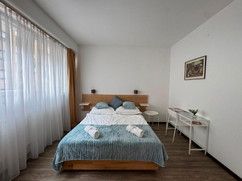 Vienna for 2-4 guest