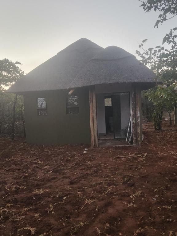 a house with a thatched roof in a field at Tsetsebjwe Bush Camp in Otse