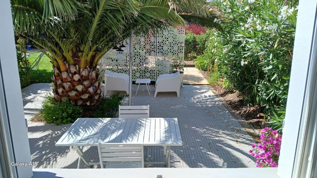 a patio with a table and chairs and a palm tree at Le chat bleu in Beauvoir-sur-Mer