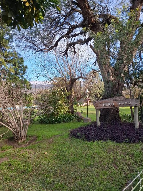 a park bench sitting in the grass next to a tree at Cabaña MariaMaria in Pomancillo