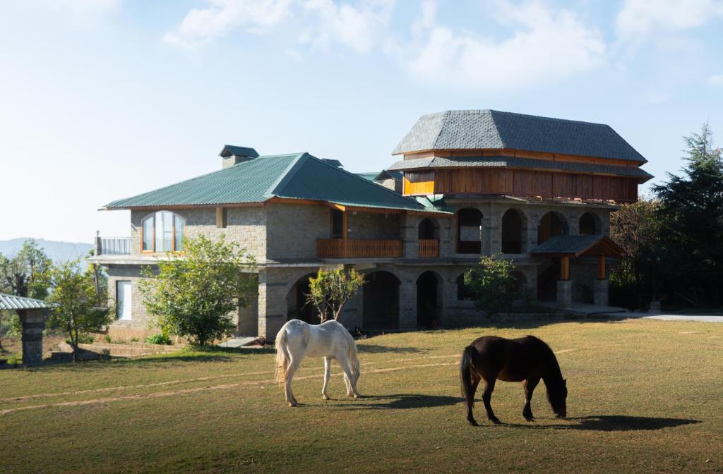 two horses grazing in front of a house at Colonel's Resort in Bīr