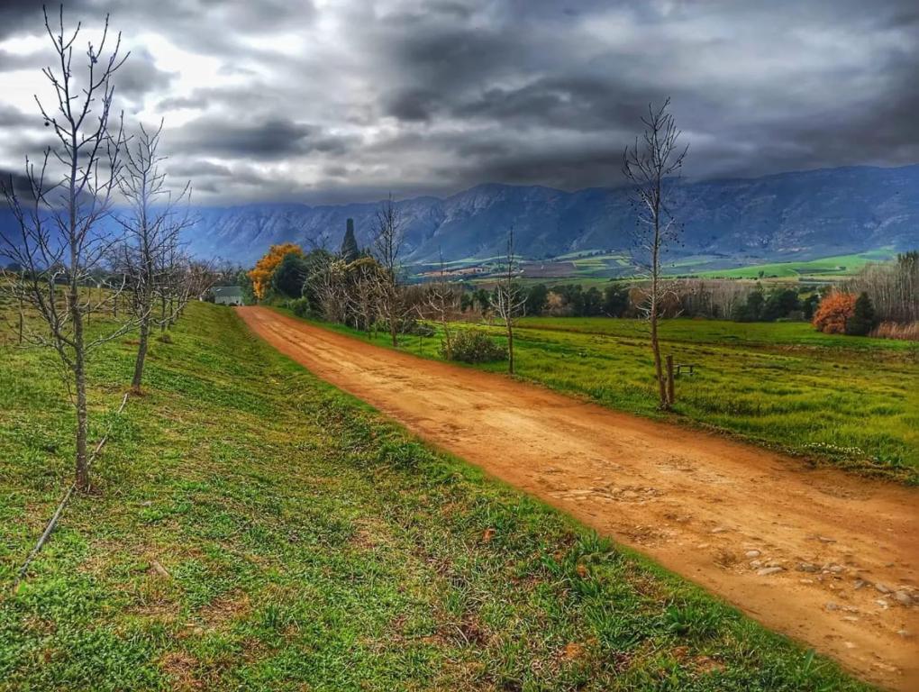 a dirt road in the middle of a field at Klipfontein Rustic Farm & Camping in Tulbagh