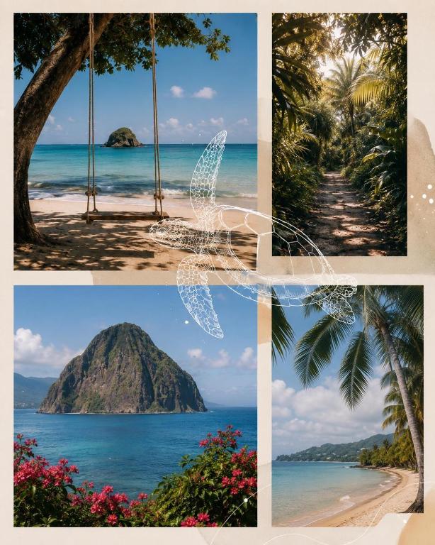 a collage of photos of the beach and the ocean at TI kasa cherry in Le Diamant