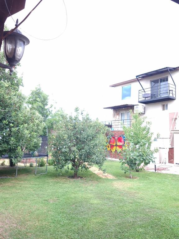 a building with a yard with trees in front of it at depa del Oso in Nuevo Casas Grandes