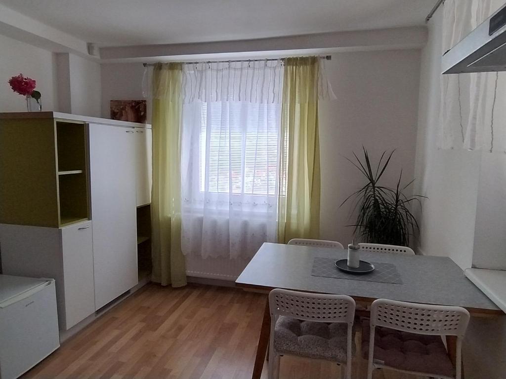 a room with a table and chairs and a window at Apartmán Sofie in Poděbrady
