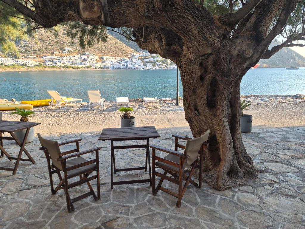 a table and chairs under a tree next to a beach at Armiriki Seaside in Kamares