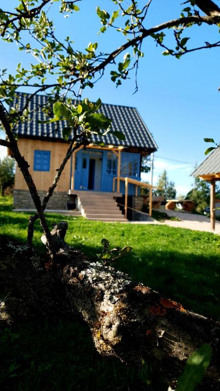 a house with a blue roof and a tree at iDILe in Râșca