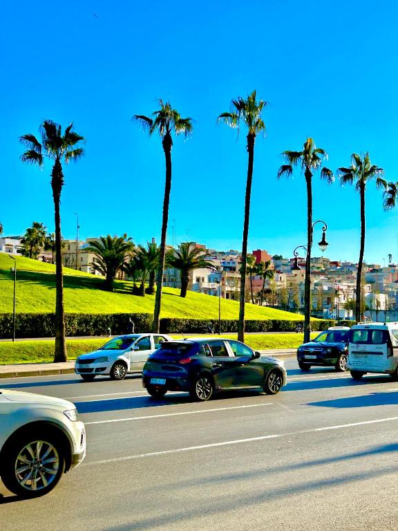 a group of cars driving down a street with palm trees at Man Wee Apprt in Tangier