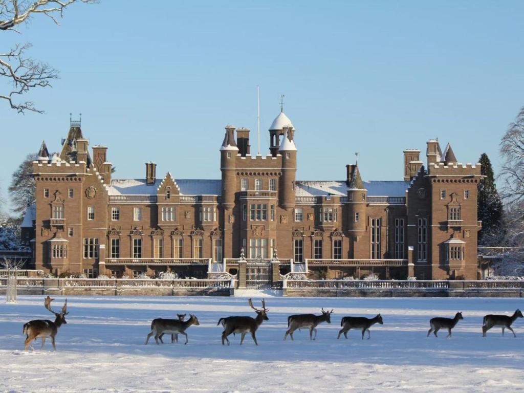 a group of deer walking in front of a castle at Apartment Macduff Tower by Interhome in Angus