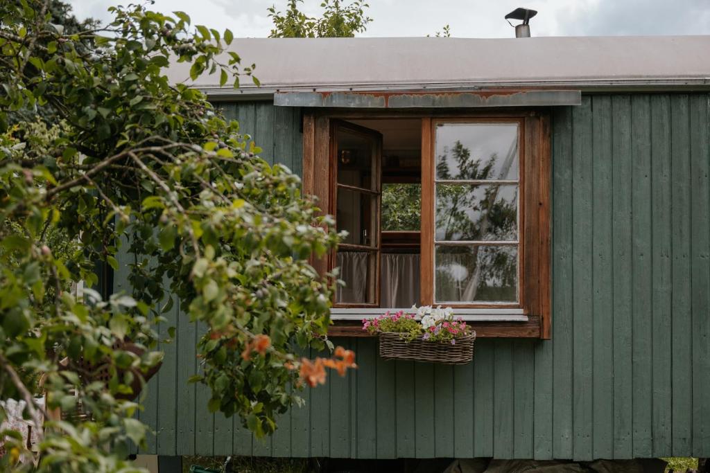 a green house with a window with flowers in a basket at Bauwagen Fridolin in Restorf