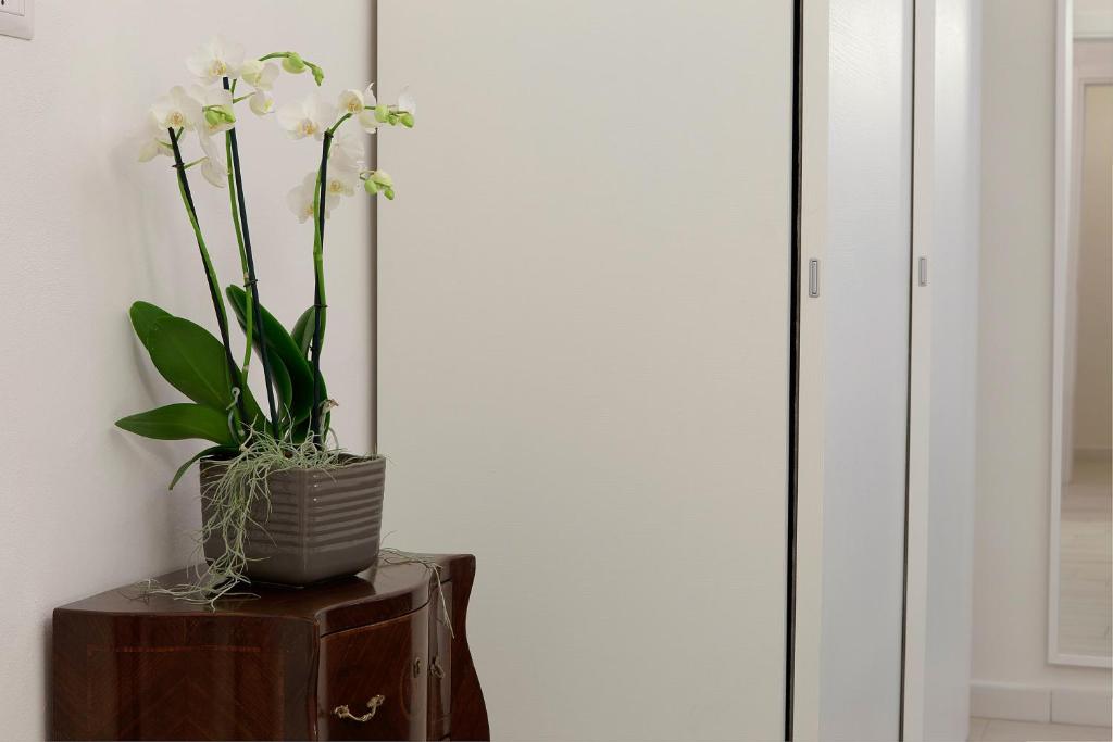 Windows On Florence - 11