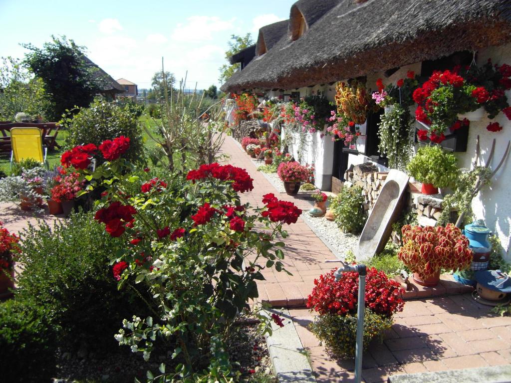 ギェネシュディアーシュにあるNádasházの建物前の赤花庭園