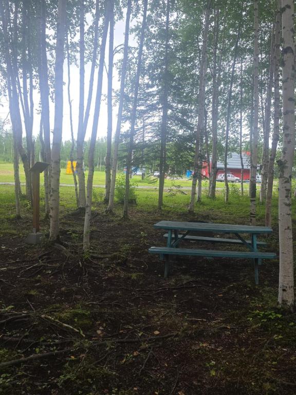 a picnic table in a park with trees at Houston Grass Station Campsite #44 in Wasilla
