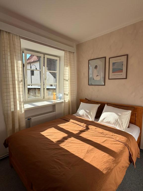 a bedroom with a large bed and a window at V srdci Telče - Apartmán in Telč