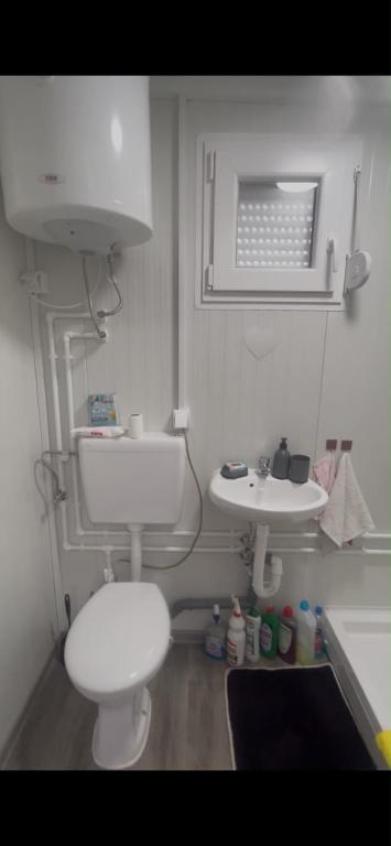 a small bathroom with a toilet and a sink at Villa Viva Jama in Novi Sad
