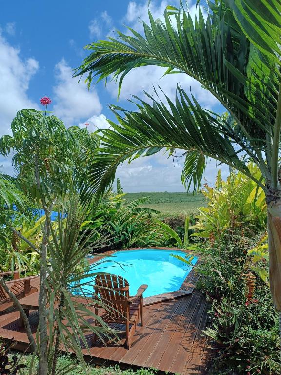 a swimming pool with a chair and a palm tree at Gites kaz à klemence - Bungalow karapat - jacuzzi privé et piscine partagée au cœur de la nature à Anse-Bertrand in Anse-Bertrand