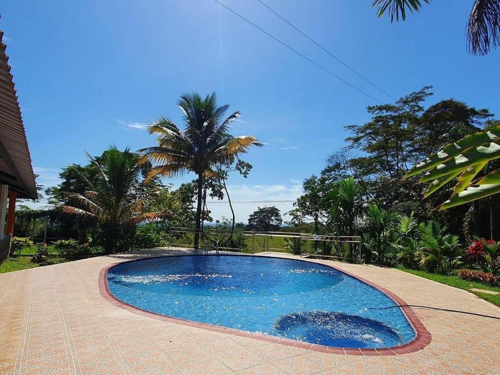 a small swimming pool in the middle of a yard at Finca Las Marias A&M in Restrepo