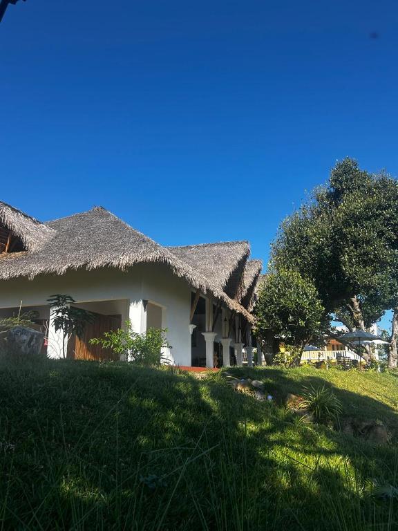 a house with a thatched roof on a green field at Mahé Lodge, Nosy Be in Nosy Be
