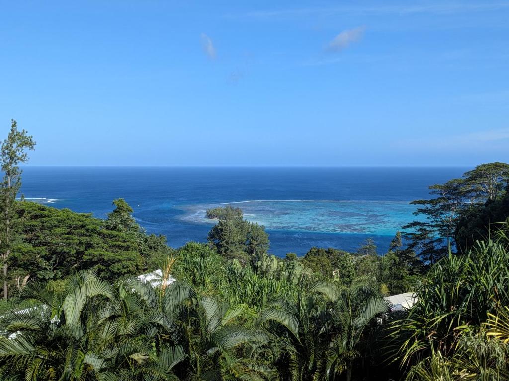 a view of the ocean from the jungle at Fare Tihi Moana in Tahu-Naoe