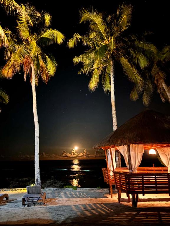 two palm trees and a hut on the beach at night at Helmina's Villas in General Luna