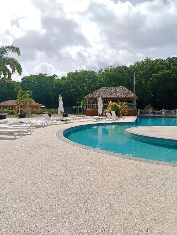 a large swimming pool with chairs and a gazebo at Le Bunga'Zen in Grand-Bourg