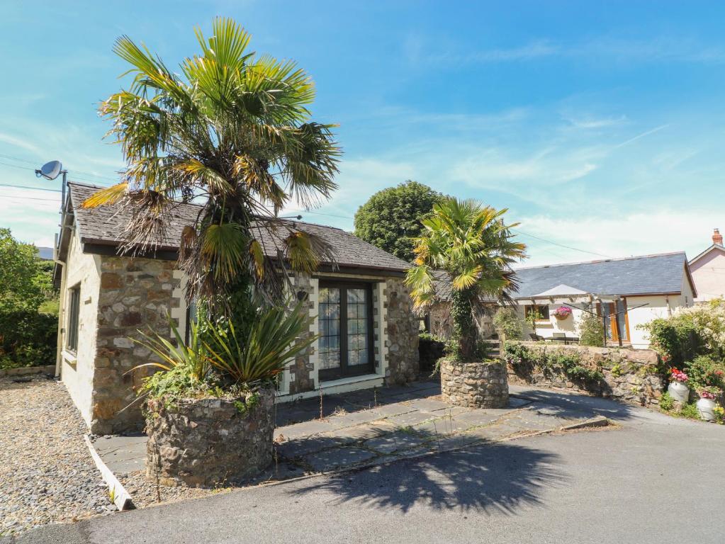 a house with two palm trees in front of it at Stoney Cottage in Narberth