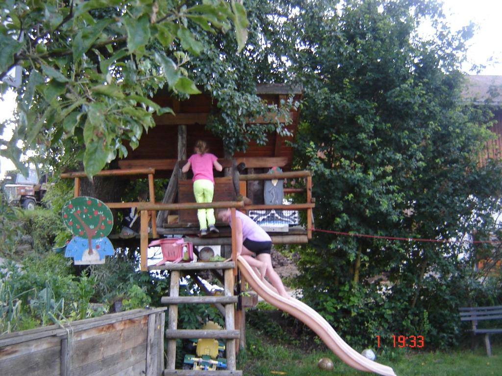 two girls on a slide in a tree house at Biohof Stockinger in Kirchbach