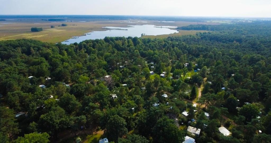 an aerial view of a river and trees at RCN Vakantiepark de Noordster in Dwingeloo