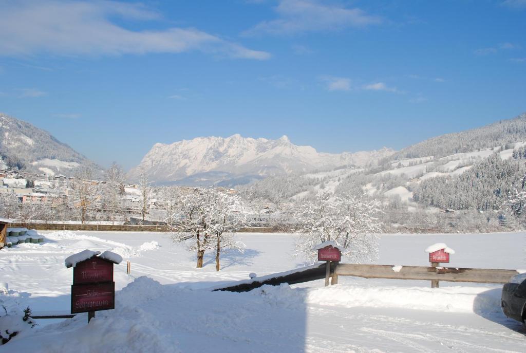 un campo innevato con una montagna sullo sfondo di Familien-Bauernhof Neumoar a Sankt Johann im Pongau
