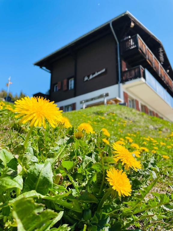 a field of yellow flowers in front of a building at Chalet La Montanara in Bettmeralp