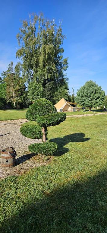 a bush in the middle of a grass field at Lodge18 in Châteaumeillant