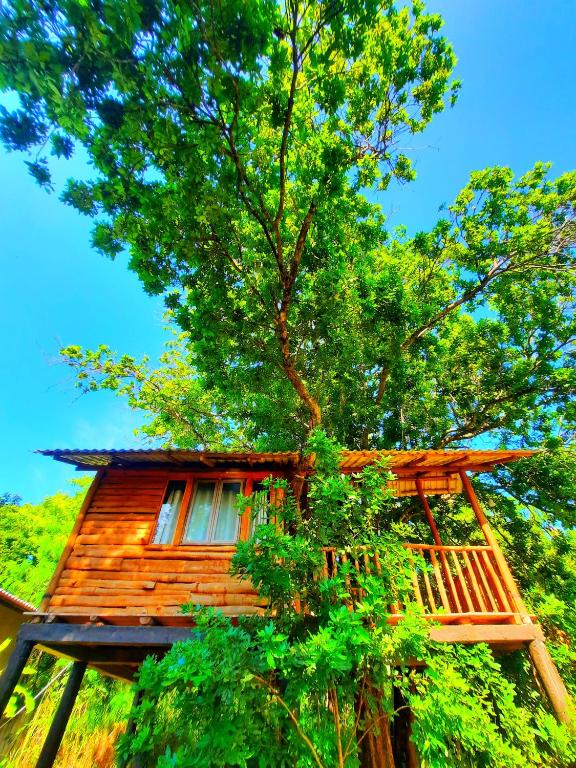 a tree house with a deck and a tree at La Casa Safari Cottages & TREE HOUSE in Udawalawe