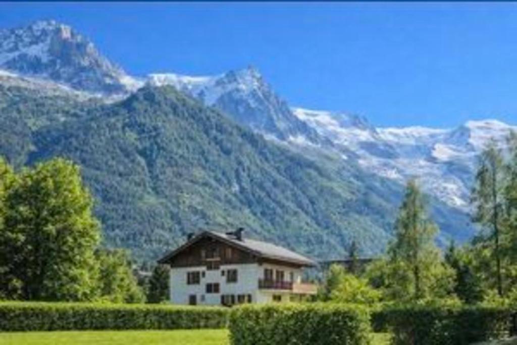 Bright apartment - near Mont Blanc
