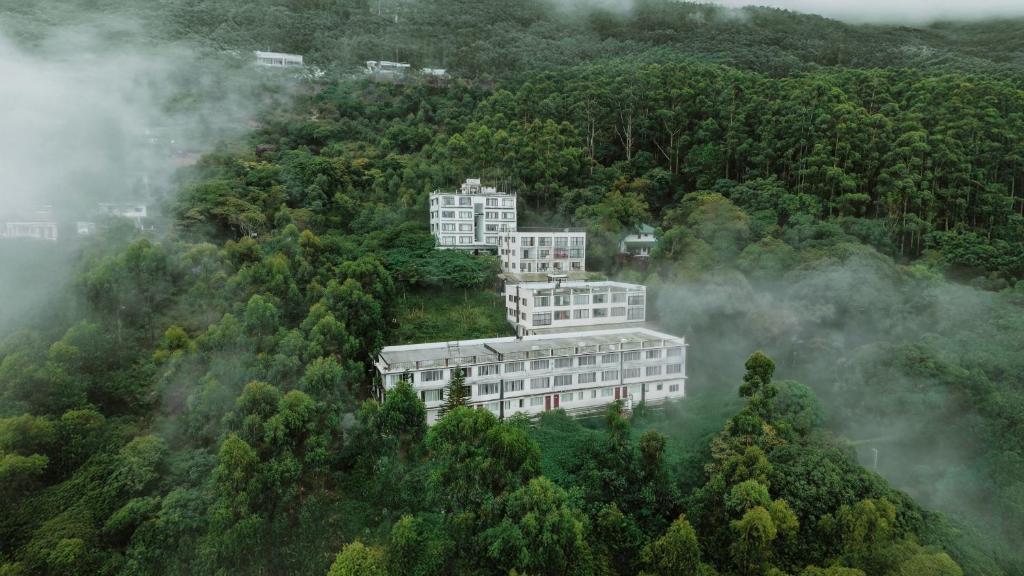a tall building in the middle of a forest at Veu Munnar Retreat - Valley View Rooms in Munnar