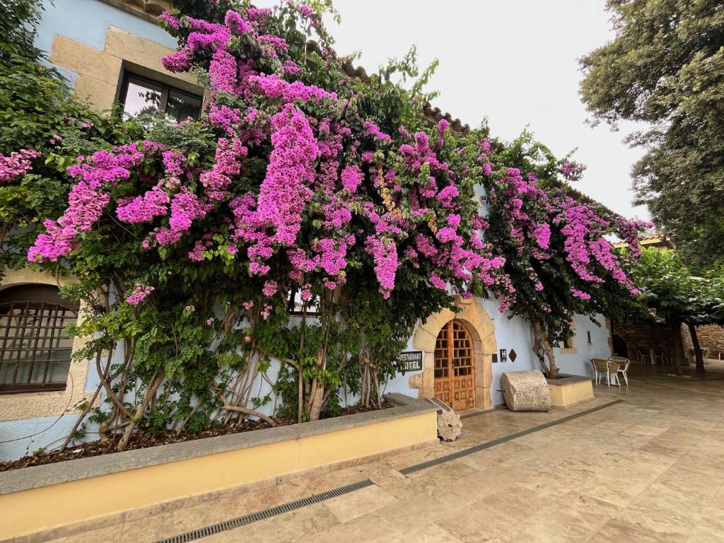Boutique Hotel Comtal Empuries, Roses