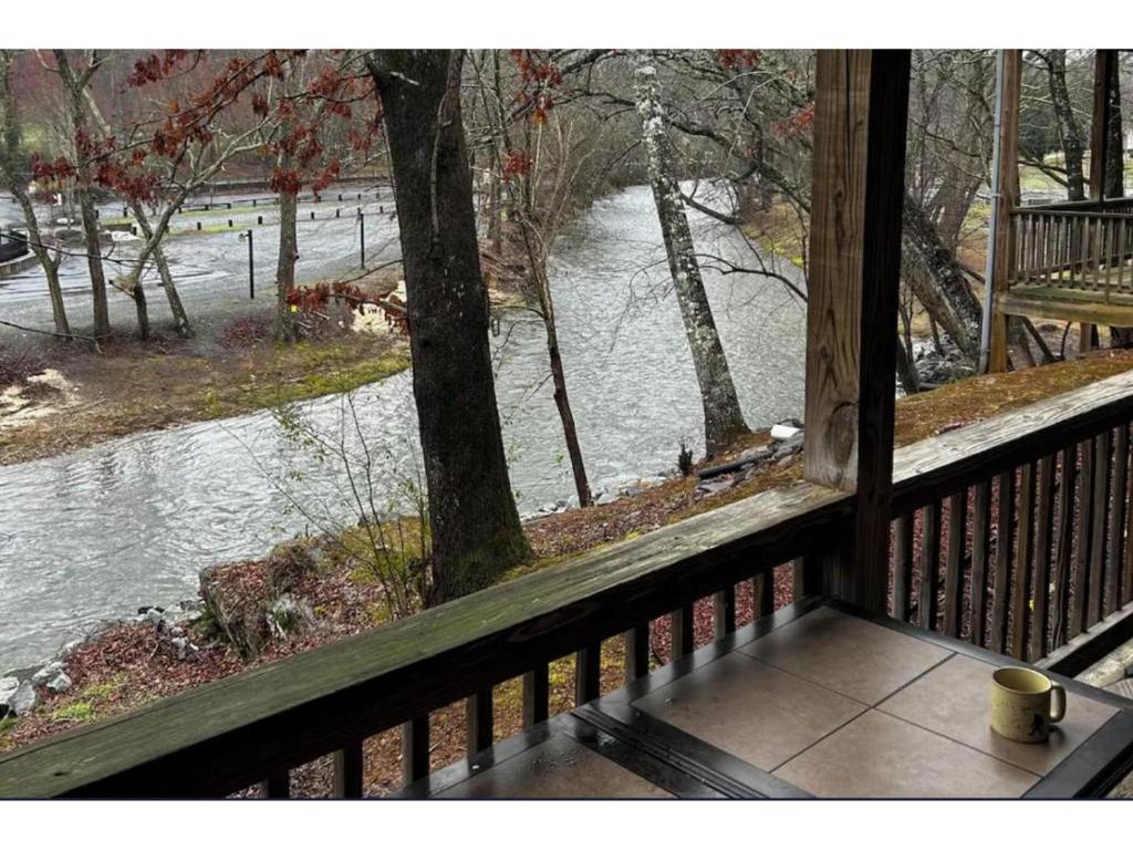 a view of a river from the porch of a house at River & Vine in Helen