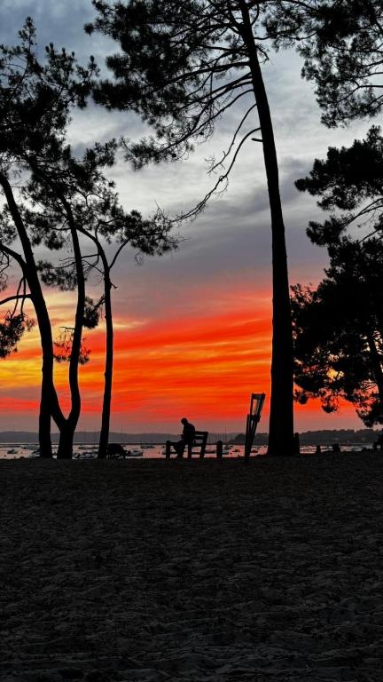 a person sitting on a bench at the beach at sunset at maison moderne en face de la mer in Arès