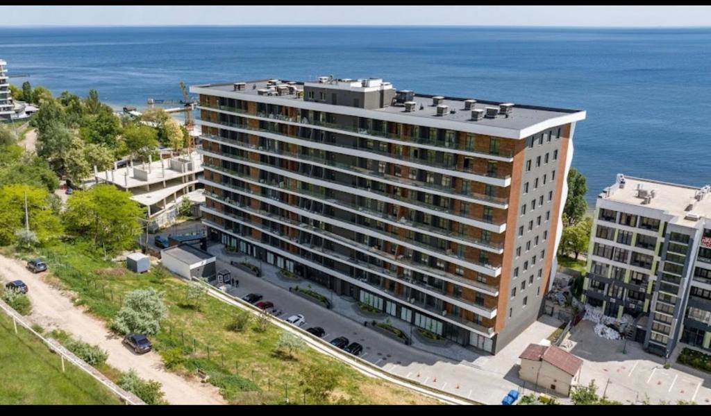 Calipsa головне фото