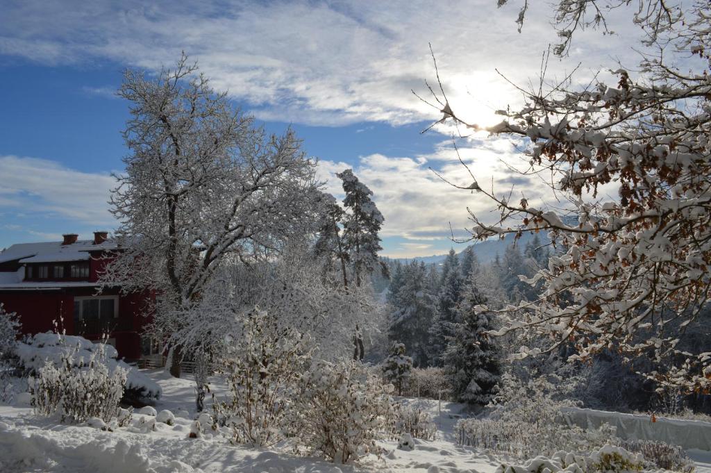 Landidyll-Hotel Nudelbacher during the winter