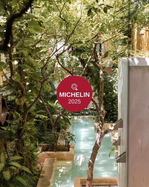 a sign that reads michilli in front of a pool of water at TreeHouse Boutique Hotel, an adults only boutique hotel in Mérida