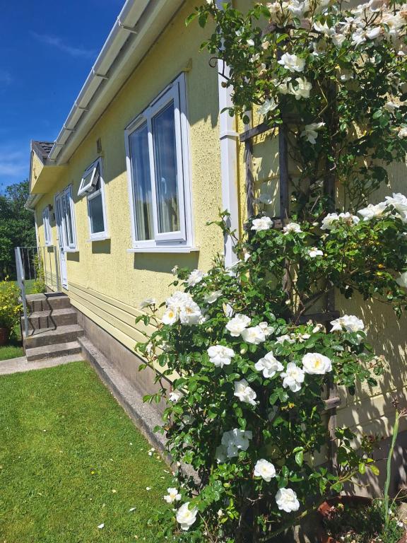Thornbury Holiday Park - Loggia Dell'Acacia
