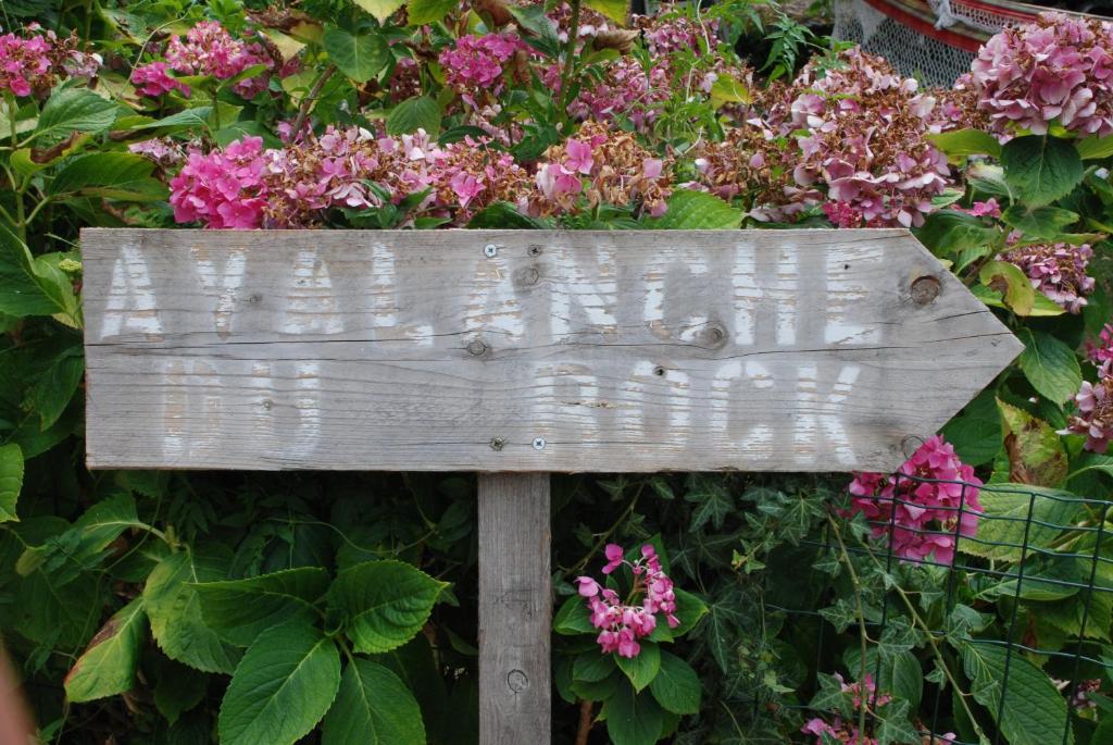 a wooden sign in front of some flowers at Chambres d hôtes Avalanche du rock in Buzy