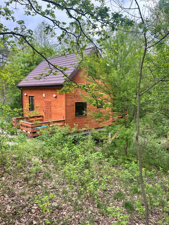 a wooden cabin in the middle of the woods at Domek na Skarpie 2 in Joniec