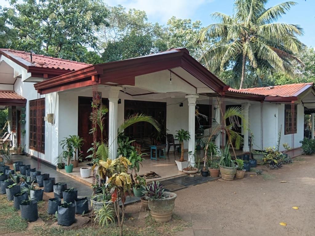 a house with plants in front of it at Elephant safari Lodge sigiriya junction in Habarana
