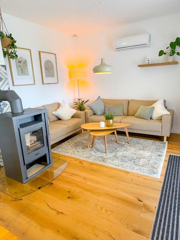 a living room with a couch and a fireplace at Landhaus Holly in Frielendorf