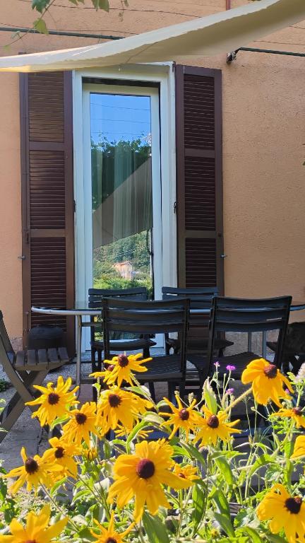 a bunch of yellow flowers in front of a building at Casa Maria in Porto Ceresio