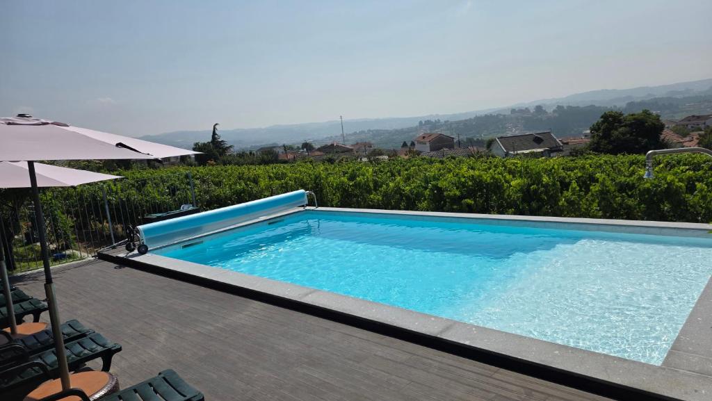 a swimming pool with a view of a vineyard at Quinta de Basto House in Felgueiras